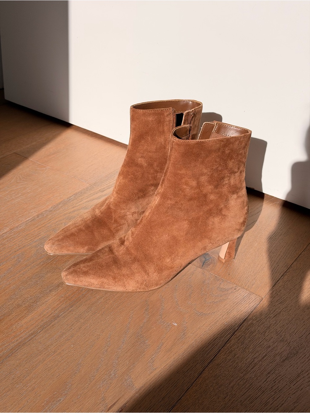 Steve Madden Women's Suede Ankle Booties in Brown